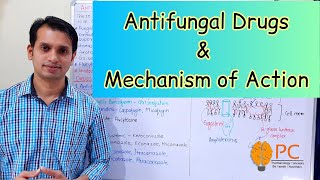 Antifungals Drugs Pharmacology Part 1 Classification and Mode of Action of Antifungal Drugs [upl. by Navets]