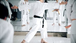 HEIAN NIDAN  BUNKAI  SHOTOKAN KATA  JKA [upl. by Aihsele]