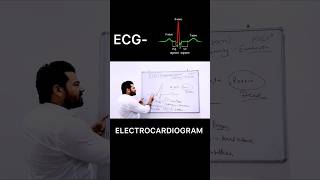 ECG  Electrocardiogram  biology shorts youtubeshorts trendingshorts viralshorts ecg facts [upl. by Anayrb]