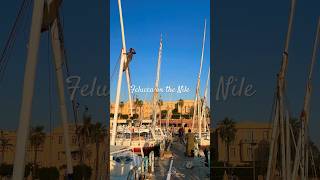 Felucca sailing on the Nile River in Luxor is a dreamy ride 🥹 luxoregypt nileriver [upl. by Lemcke508]