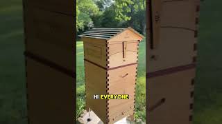 Beekeeping 🍯 The Secret to Getting Bees to Build Comb on Flow Hive 🐝flowhive beekeeping bees [upl. by Lekzehcey]