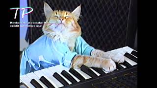 Keyboard cat FL STUDIO 21 MID  FLP Download [upl. by Hcir]