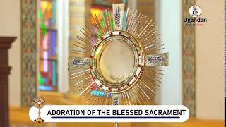 Adoration of the Blessed Sacrament  11th July 2024 [upl. by Annatnom]