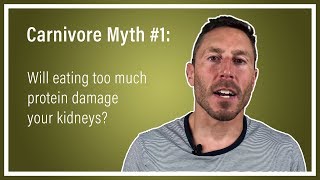 Will Eating Too Much Protein Damage Your Kidneys Carnivore Myth 1 [upl. by Gifford]