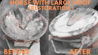 Shire Horse Complete restoration Shire Horse Restoration Compilation shirehorse huge massivehoof [upl. by Luap]