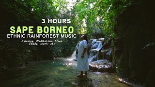 3 Hours Sape Borneo Ethnic Music  Rainforest Vibes For Meditation Relaxing Mindfulness etc [upl. by Eneloj]