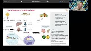 Vitamin D Stoffwechsel  Auf was man aus epigenetischer Sicht achten sollte [upl. by Haerb402]