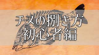 プロの料理人に教わりながらチヌ（クロダイ）を初心者が捌いてみた！後編 [upl. by Sidoon]