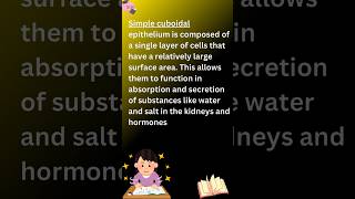 Simple cuboidal epitheliumsimple cuboidal epithelial tissuesimplecubiodalepithelialtissueshorts [upl. by Krystyna735]