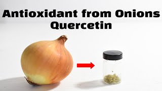 Extracting Quercetin from Onions [upl. by Eivets]