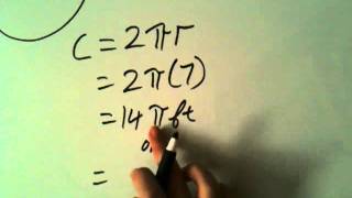 How to Find the Circumference of Circle [upl. by Bobette]