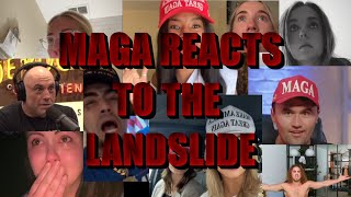 MAGA Reacts to Trump Landslide Compilation maga trump2024 landslide joerogan charliekirk [upl. by Arutak]