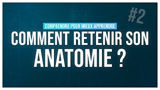 COMMENT RETENIR SON ANATOMIE  2 Comprendre pour mieux apprendre [upl. by Rowena]