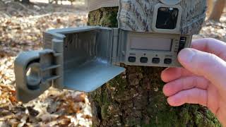 40 TRAIL CAM REVIEW AND SETUP  Stealth Cam Browtine 16 [upl. by Peters]