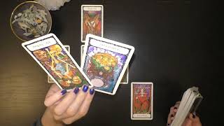 SCHÜTZE Woche 511 Februar 2024 ☯️💫Tarot Reading [upl. by Maudie]