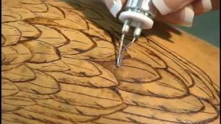 Woodburning on Gourds with Carrie Dearing [upl. by Obe257]