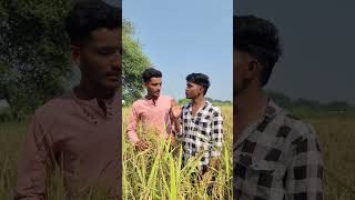 Dhaan Katana jaruri hai 😂comedy chhattisghar cg funny trending viralshortsviral mostpopular [upl. by Landy]