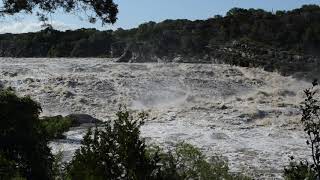 Pedernales Falls State Park Flood 5819 [upl. by Wallinga]