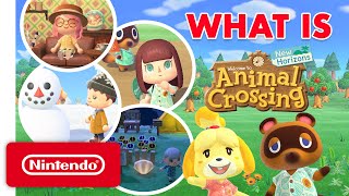 What Is Animal Crossing New Horizons A Guide for the Uninitiated [upl. by Nosyk]