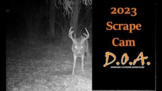 Scrape Camera  Rut Action DOA Dorward Outdoor Adventures [upl. by Astiram]