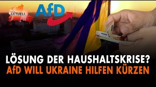 Lösung der Haushaltskrise  AfD will UkraineHilfen kürzen [upl. by Gudrun14]