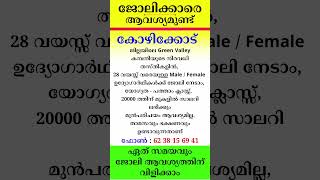 kerala jobs 2024 todays job malayalam jobs December 11 [upl. by Morrissey]