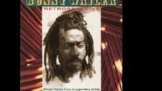 BUNNY WAILER  Soul Rebel Retrospective [upl. by Ytrebil226]