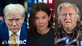 How did this happen Alex Wagner examines the MAGA themes that drew voters to Trump [upl. by Trefler831]