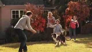 TV Commercial Spot  PetSmart  Embrace your Inner Athlete  Football Pet Toys  Inspired By Pets [upl. by Kano303]