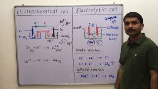 312Difference between Electrochemical and Electrolytic cell class 12th electrochemistry [upl. by Borg]