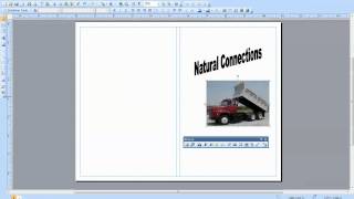 Creating a Brochure in Publisher [upl. by Sandie]