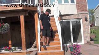 Dog Training Information  How to Train a Dog to Walk on Stairs [upl. by Kus]