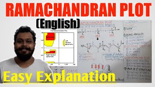 Ramachandran Plot  easy explanation [upl. by Nerb]