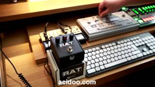 Pro Co Rat 2 Distortion  TT303 [upl. by Annodas]