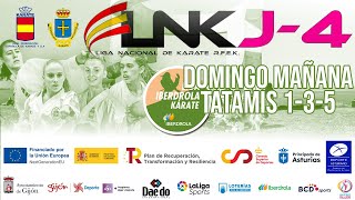 LIGA IBERDROLA DE KARATE Jornada 4 Femenina [upl. by Sutphin37]