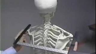 CDC Anthropometric Vid Introduction [upl. by Meehar657]