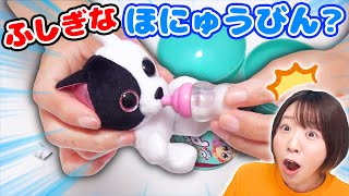 この哺乳瓶どうなってるの🍼🤔魔法みたいな哺乳瓶と赤ちゃんペットが出てくる海外のサプライズトイが癒しだった！！！ [upl. by Doelling802]