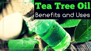 Tea Tree Oil Benefits and Uses Treats Nail Fungus and Heals Wounds [upl. by Lolly829]