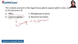 Leguminous plants [upl. by Erme312]