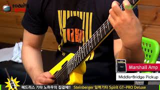 Todaysgear Steinberger Spirit GTPRO Deluxe [upl. by Hewes134]