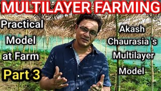 MULTILAYER FARMING  PART 3  AKASH CHAURASIA S MULTI LAYER MODEL  PRACTICAL MODEL AT FARM [upl. by Gaughan535]