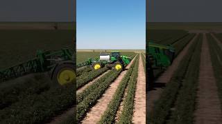 Defoliating Cotton On The Farm With John Deere 412r  farming tractor shorts [upl. by Atsok134]