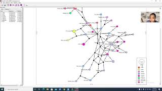 Haplotype Network using POPART Tagalog [upl. by Larine]