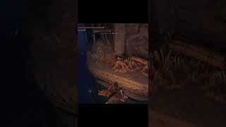 Divine Tower of Caelid Climb Fail in Elden Ring [upl. by Dardani]