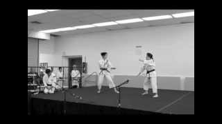 Shorinji Kempo Stage Demo [upl. by Cirdor962]