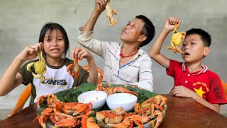 A busy day in the Transplanting season  Catching stone crabs to prepare dishesLý Huyền Trang [upl. by Ahseinod600]