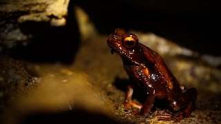 Qué es la Biología  TvAgro por Juan Gonzalo Angel [upl. by Marduk]