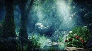 Magic forest fantasy wonderland video background for video Maker [upl. by Bagley]