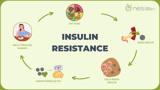 Insulin Resistance [upl. by Coh]