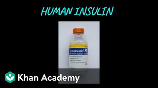 Human Insulin Humulin  Biotechnology and its applications  Class XII  Biology  Khan Academy [upl. by Nore]